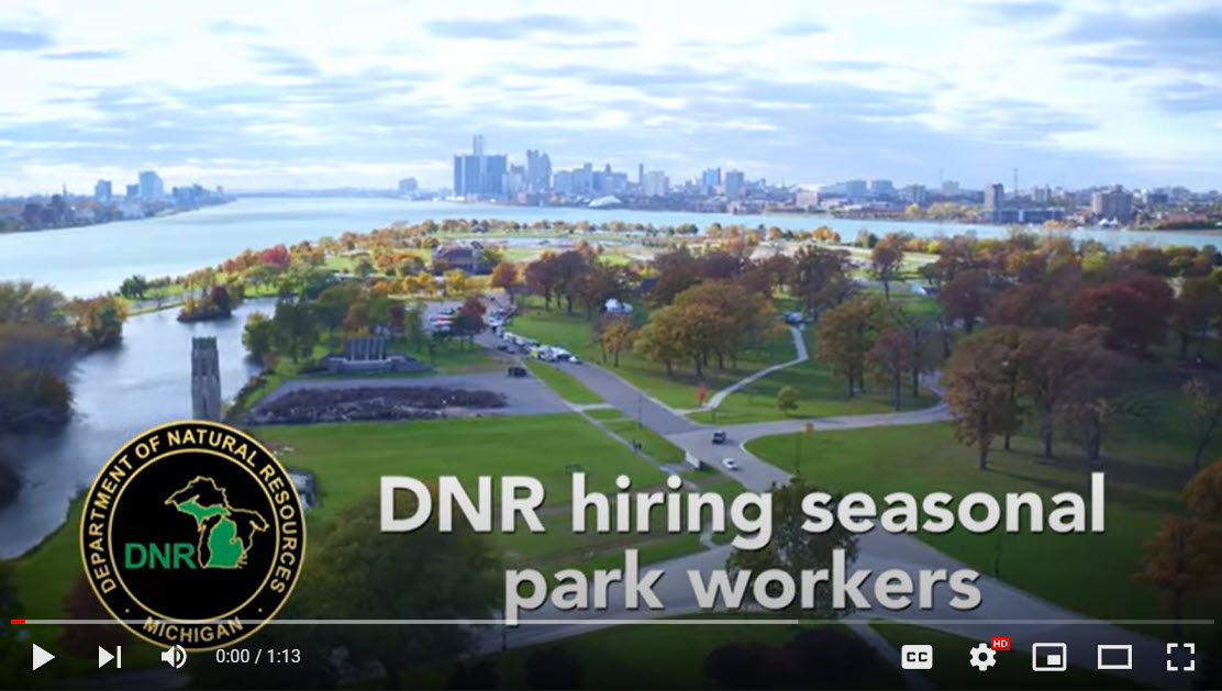 View the job specification at: